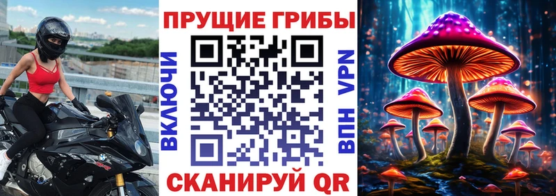 Галлюциногенные грибы мицелий  сколько стоит  Дно 