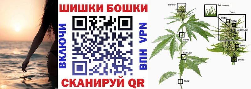 Конопля план Дно